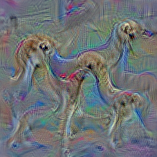 n02091635